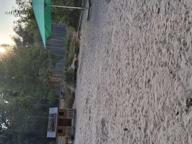 Bild2