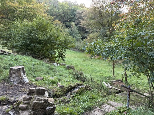 Bild1